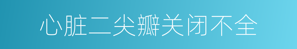 心脏二尖瓣关闭不全的同义词