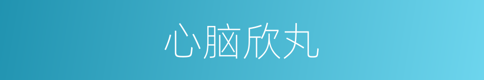 心脑欣丸的同义词