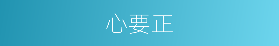 心要正的同义词