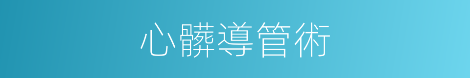 心髒導管術的同義詞