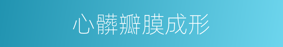 心髒瓣膜成形的同義詞