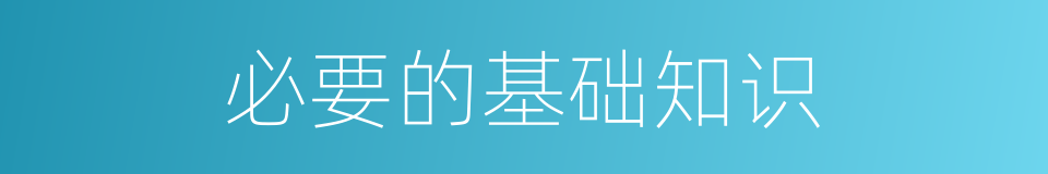 必要的基础知识的同义词