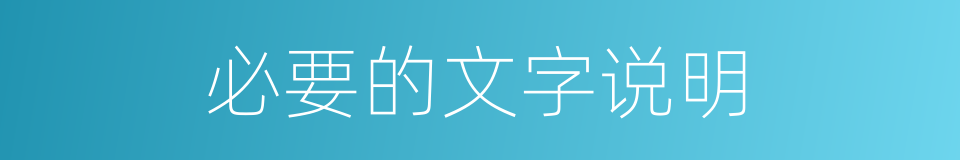 必要的文字说明的同义词