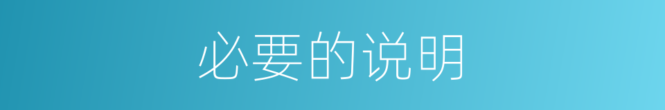 必要的说明的同义词