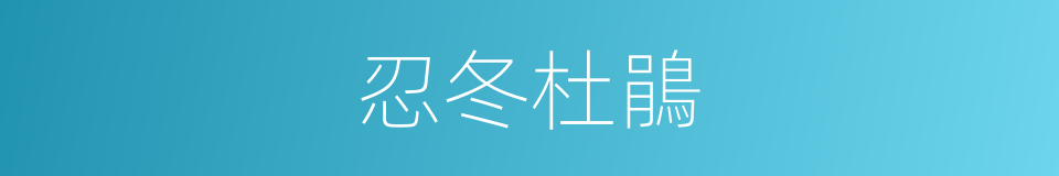 忍冬杜鵑的同義詞