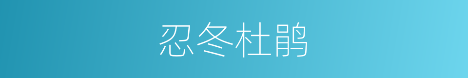 忍冬杜鹃的同义词