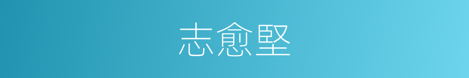 志愈堅的同義詞