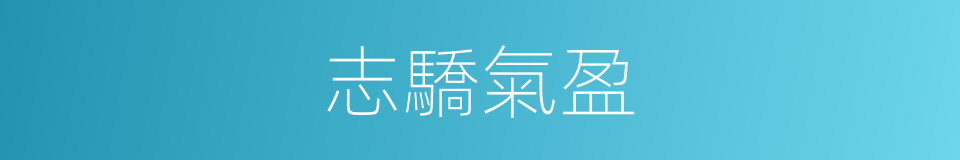 志驕氣盈的意思