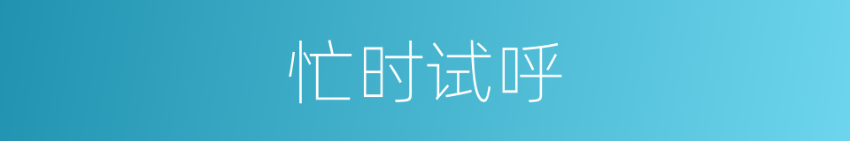 忙时试呼的同义词
