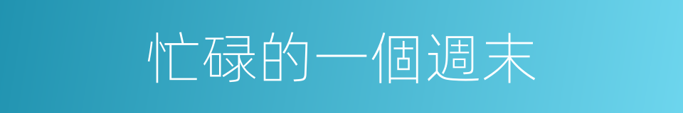 忙碌的一個週末的同義詞