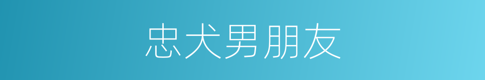 忠犬男朋友的同义词
