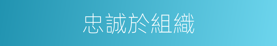 忠誠於組織的同義詞