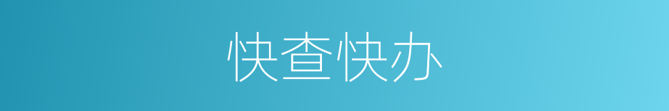 快查快办的同义词