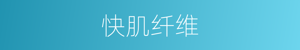 快肌纤维的同义词