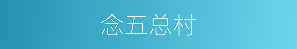 念五总村的同义词