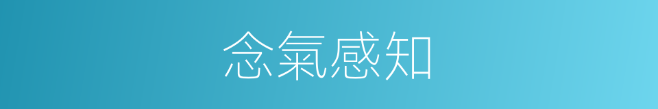 念氣感知的同義詞