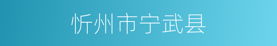 忻州市宁武县的同义词
