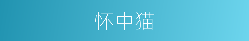 怀中猫的同义词