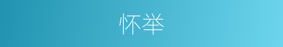 怀举的同义词