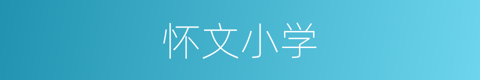 怀文小学的同义词
