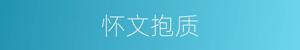 怀文抱质的意思