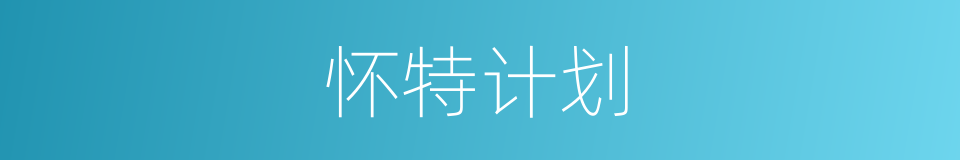 怀特计划的同义词