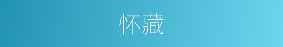 怀藏的意思