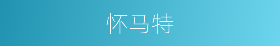 怀马特的同义词