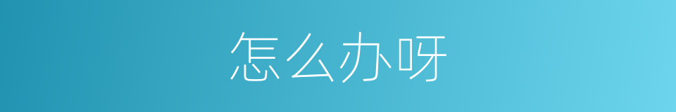 怎么办呀的同义词
