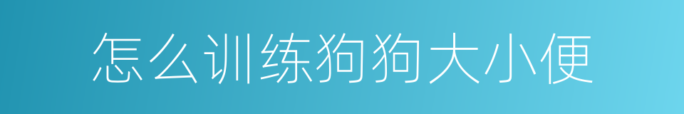 怎么训练狗狗大小便的同义词