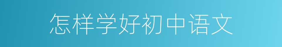 怎样学好初中语文的同义词