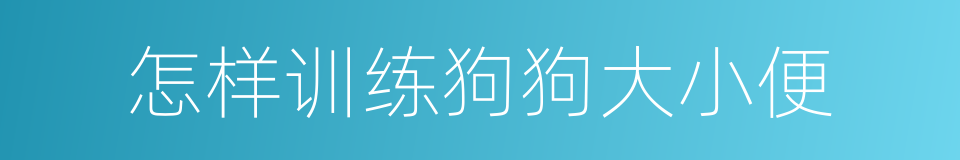 怎样训练狗狗大小便的同义词