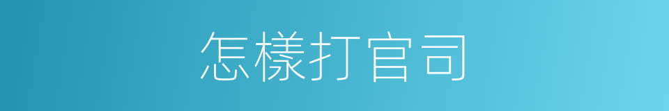怎樣打官司的同義詞