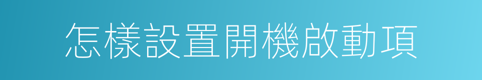 怎樣設置開機啟動項的同義詞