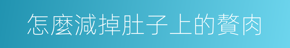怎麼減掉肚子上的贅肉的同義詞