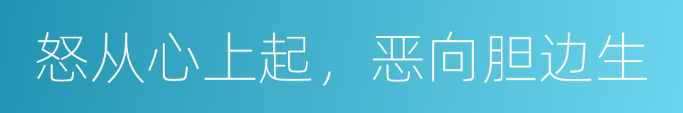 怒从心上起，恶向胆边生的意思