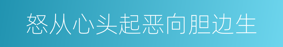 怒从心头起恶向胆边生的意思