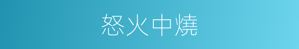 怒火中燒的意思