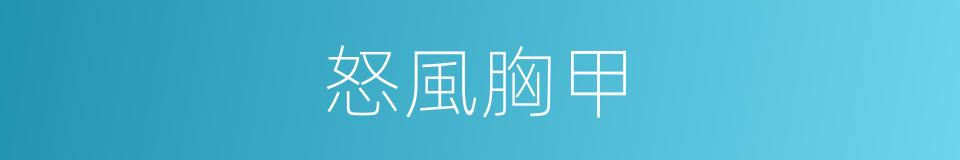 怒風胸甲的同義詞