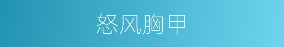 怒风胸甲的同义词