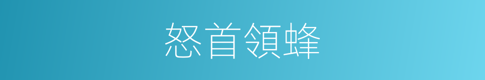 怒首領蜂的同義詞