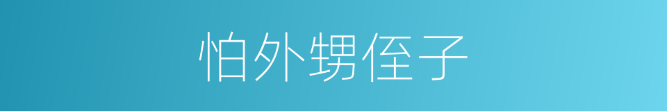 怕外甥侄子的同义词