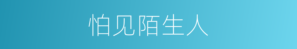 怕见陌生人的同义词