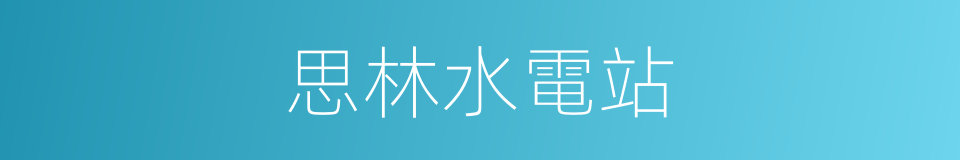 思林水電站的同義詞