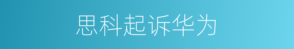 思科起诉华为的同义词