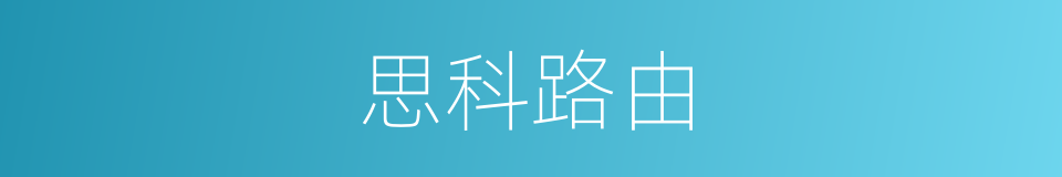 思科路由的同义词
