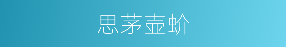 思茅壶蚧的同义词