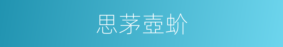 思茅壺蚧的同義詞
