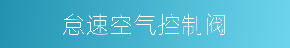 怠速空气控制阀的同义词