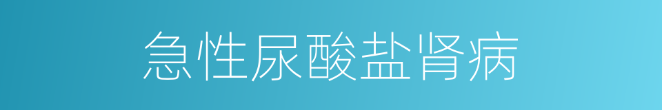急性尿酸盐肾病的同义词